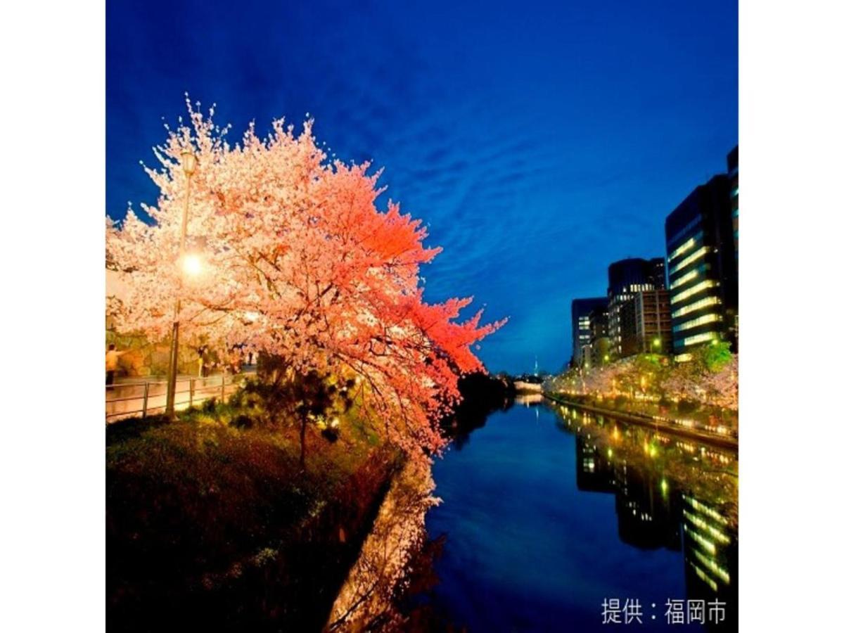 Court Hotel Fukuoka Tenjin - Vacation Stay 42334V Zewnętrze zdjęcie